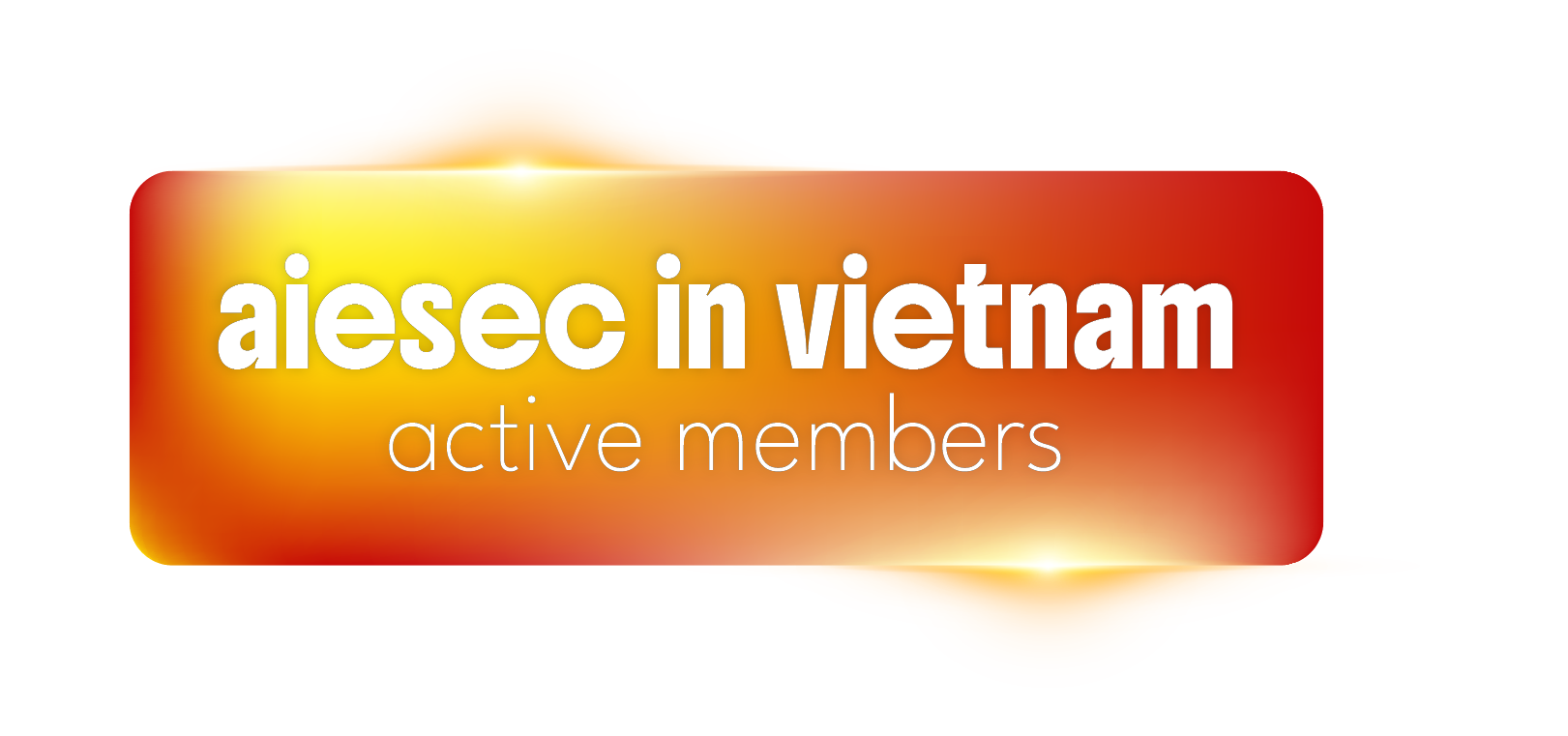 AIESEC in Vietnam Members